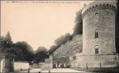 Mais il n'y a pas que Chartres. Au nord se trouve la ville de Dreux, la vallée de l'Avre, le Thimerais et le comté du Perche à l'ouest, qui constituent des postes avancés pour les rois de France face à leurs ennemis qui sont :