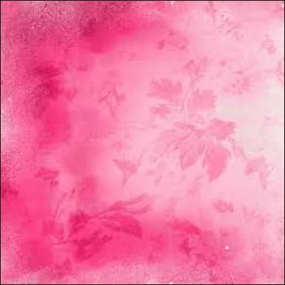 Comment traduit-on la couleur "rose" en espagnol ?