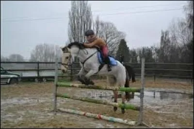 Xoupette - Sixtine fait du cheval. Le petit du cheval est...