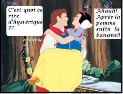 D'un auteur inconnu, cette petite blagounette : Blanche-neige a été virée de Disneyland, motif invoqué par la direction :