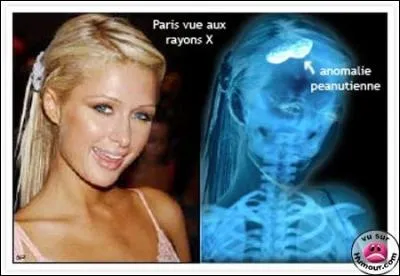 Citation de Paris Hilton, qui a travaillé dur pour la trouver : On a besoin des animaux, le jaguar pour la voiture, le vison pour la fourrure, ...