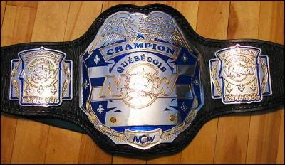 Comment se nomme ce titre ?