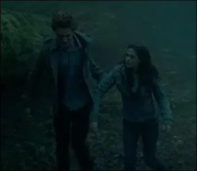 Où Edward emmène-t-il Bella pour lui montrer de quoi il a l'air au soleil ?