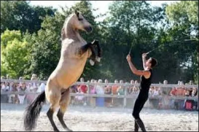 Quelle est cette race ?