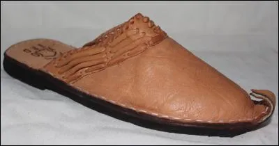 Je suis un petit singe et je suis l'ami de Dora. Qui suis-je ?