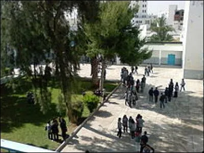 Quel est le pourcentage de tunisien ayant une certaine maîtrise du français ?