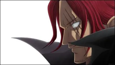 Quel membre Shanks perd-il lorsqu'il sauve Luffy ?