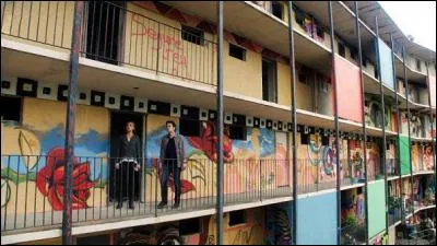 Quel animal cause le crash d'un avion au Japon et survole les favelas de Rio en plein jour, à 1 500m au-dessus de la normale ?