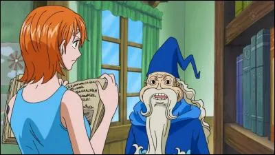 Comment s'appelle ce papy qui enseigne les sciences climatologiques de Weatheria à Nami ?