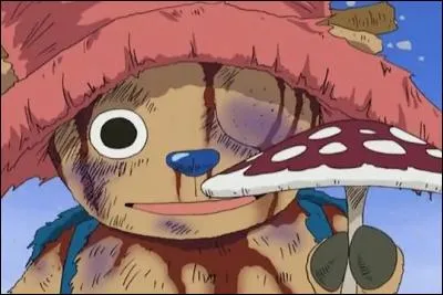 Comment se nomme le champignon vénéneux apporté a Hiluluk par Chopper alors qu'il pensait qu'il s'agissait d'un remède miracle ?