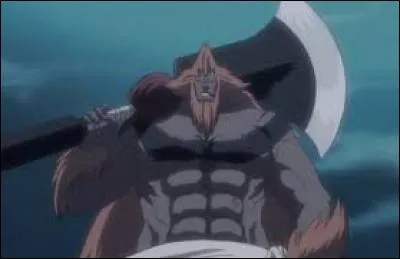 Comment s'appelle ce zanpakutô et à qui appartient-il ?