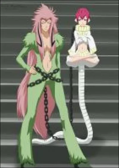 Comment s'appelle ce zanpakutô et à qui appartient-il ?