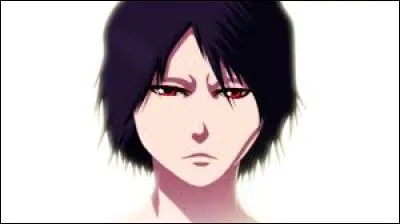 Comment s'appelle ce zanpakutô et à qui appartient-il ?