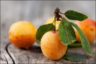 Gastronomie - À quelle région associe-t-on la mirabelle ?