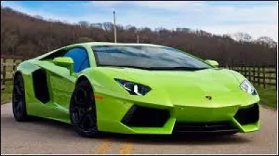 Automobile - Quel animal est représenté sur le logo de la marque Lamborghini ?