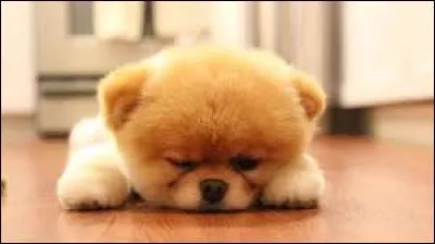 Comment dit-on : "Je suis meilleur que lui" ?