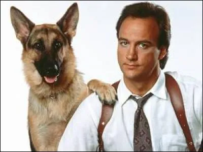 Dans quel film ce berger allemand a-t-il l'inspecteur Mike Dooley pour partenaire ?