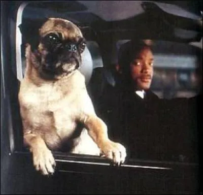 Dans le film « Men in black 2 », Quel est le titre de la chanson que fredonne Frank ?