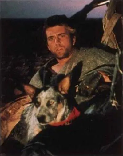 Comment se prénomme le chien qui accompagne Max Rockatansky dans « Mad Max 2 : le défi » ?