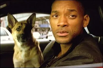 De quelle façon, Sam, fidele compagnon à quatre pattes du docteur Robert Neville, meurt-il dans le film « Je suis une légende » ?