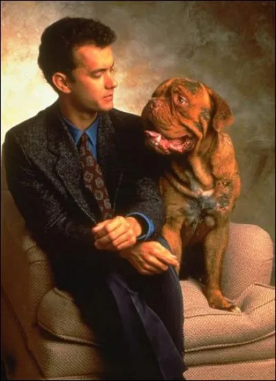 Dans le film « Turner et Hooch », j'ai oublié le nom du chien. Et vous, vous en souvenez-vous ?