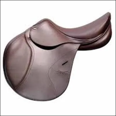 Cette photo est une photo de selle :