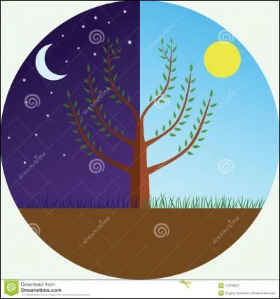 Une animation Japonaise. À quel personnage cette image est-elle liée ?