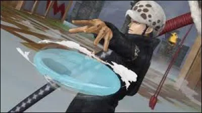 Quels sont les noms de son Fruit du Démon (japonais et français) ?