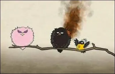 Quels aliments n'aime-t-il pas ?