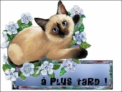 Bon, j'y vais, à plus tard les amis !