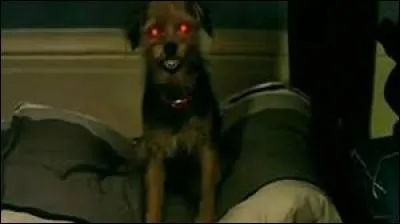 Erika est convoitée par...