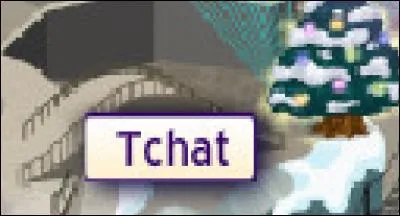 Peut-on aller dans les tchats PetPet ?
