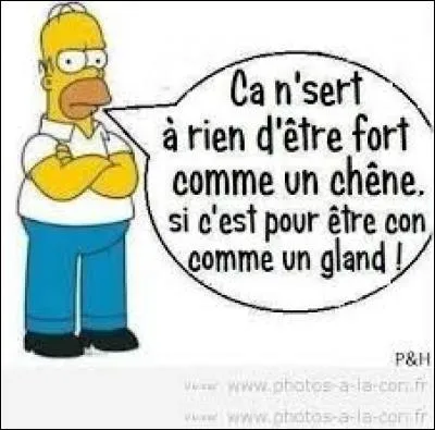 Comment les deux humoristes qui se produisent sur scène s'appellent-ils ?