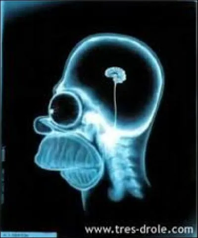 Comment le fils de Guillaume, dans "Plus belle la vie", s'appelle-t-il ?