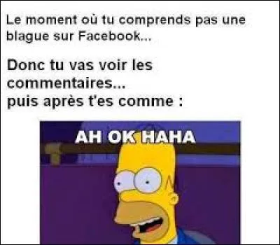 Où se situe Genève ?