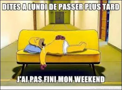 Qui est Kev Adam's ?