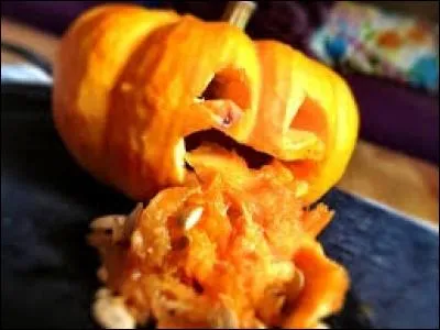 Outre des résidus d'aliments ingurgités auparavant et de la bile, de quoi se compose le vomi ?