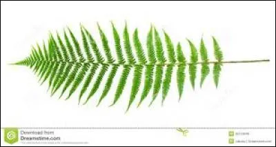 A quelle plante toxique le mérens est-il très résistant ?