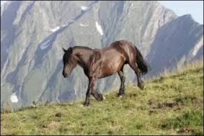 Le mérens est adapté...