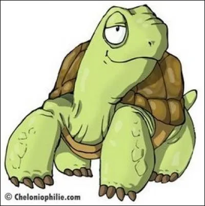 Il sait lasser ses chaussures et monter les marches deux par deux. Qui est-ce ?