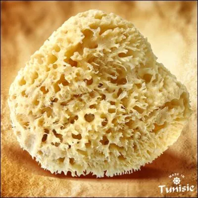 Qui est le personnage qui se cache derrière cette image ?