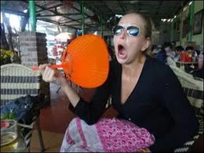 Mais quel est donc l'ingrédient qui permet ce miracle dans les piments chilis se demande Saihot ?