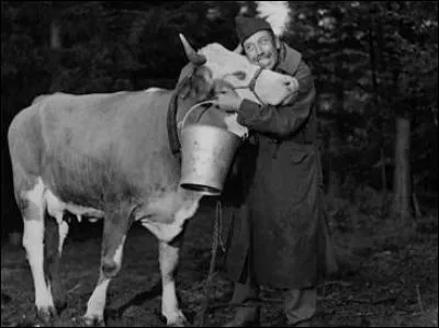 « La vache et le prisonnier » est un film d'Henri Verneuil de 1959. Fernandel, alias Charles Bailly, s'évade en compagnie d'une vache. Comment se nomme-t-elle ?