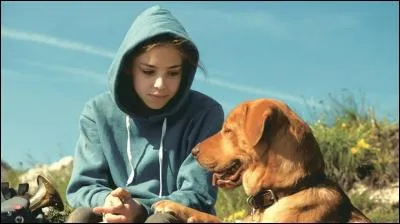 « White God », film de Kornél Mundruczó, sorti en 2014 raconte la complicité entre Lili et son chien adoré Hagen. Ce film nous présente la fameuse île Sainte-Marguerite d'une capitale bien connue. Quelle est cette capitale ?