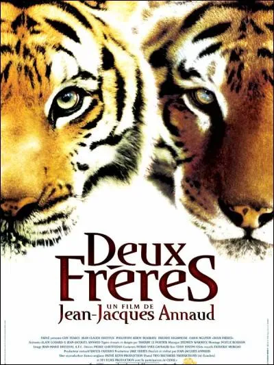 « Deux frères », film de Jean-Jacques Annaud (2004) raconte l'histoire de deux tigres, Koumal et Sangha. Ils grandissent tranquillement dans leur milieu naturel avant d'être capturés par des pilleurs et séparés. Ils se retrouveront dans une arène dans un combat meurtrier. Quelle est l'issu de ce combat ?