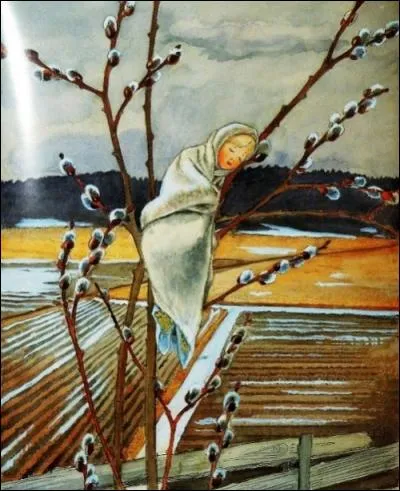 Lequel de ces arbres ne porte pas de chatons ?