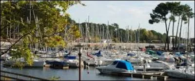 Dans les Landes de Gascogne, la Teste-de-Buch, se trouve au sud du bassin d'Arcachon. Ses habitants sont ...