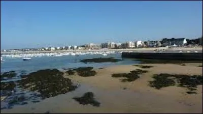 Pornichet est réputée pour la beauté de son site côtier et celle de sa villa Ker Souveraine, de style néoclassique italien. Quels habitants profitent de sa plage ?