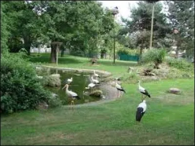 La pittoresque porte de Thann fait partie des fleurons de Cernay, dans le Haut-Rhin. Quels sont ses habitants ?