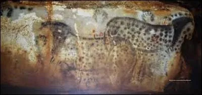 C'est, en Midi-Pyrénées, un des rares sites préhstoriques majeurs qui puissent être visités en l'état.